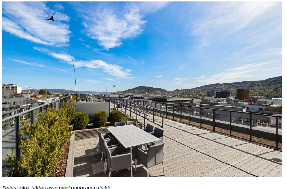 Felles Takterasse på solrik dag med gode sitteplasser og toilett